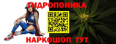 прущие грибы Гагарин