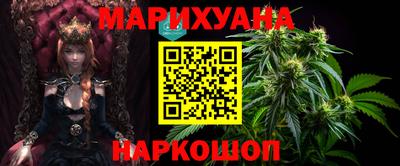 Альфа ПВП Гатчина