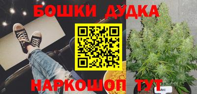 прущие грибы Гагарин