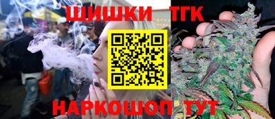 Альфа ПВП Гатчина