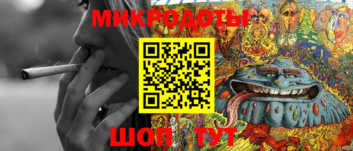 Псилоцибиновые грибы Psilocybe  Нерюнгри  Галлюциногенные грибы прущие грибы 