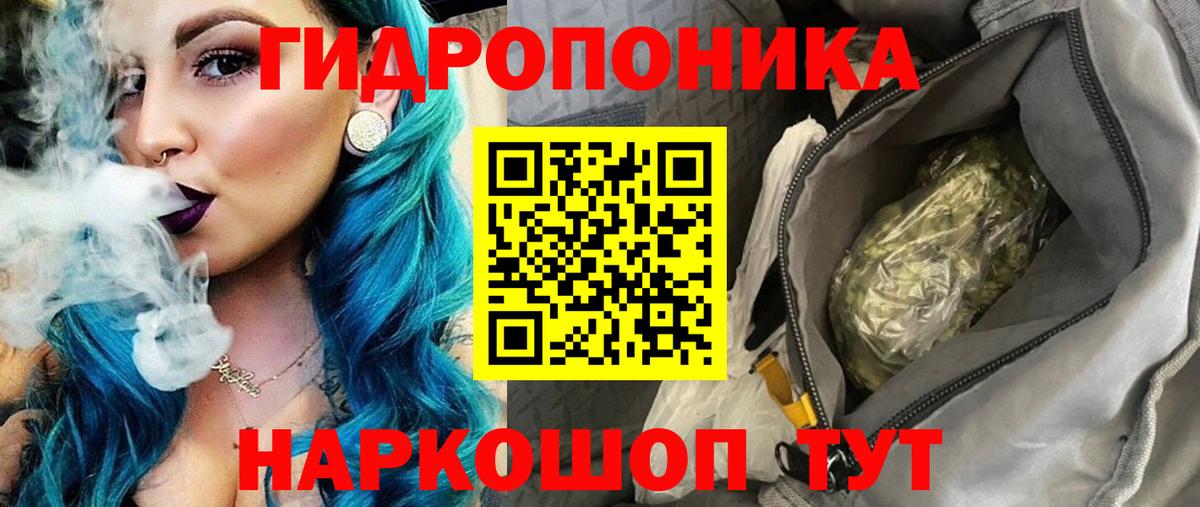 Нерюнгри  Канабис планчик  Бошки марихуана индика  Конопля план  Вход с VPN 
